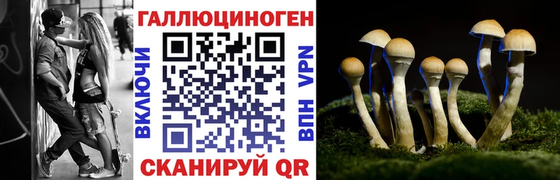 Купить где  Усть-Джегута  Галлюциногенные грибы ЛСД 