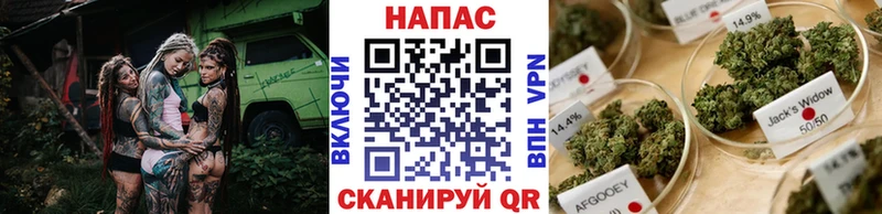 Шишки марихуана планчик  Купить  Усть-Джегута 